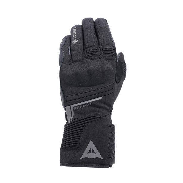 DAINESE HP2 GLOVES グローブ スキー用グローブ 新品未使用 DAINESE メンズ スキーグローブ HP2 GLOVES HP2 GLOVES