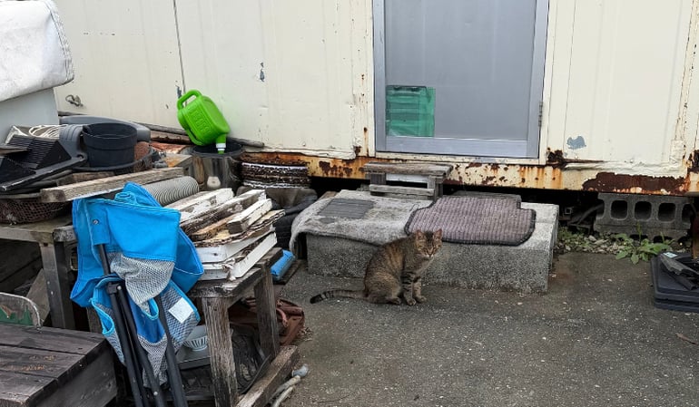 kyotoblog (18)