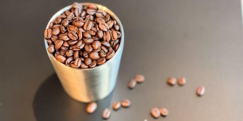 F44D81D1-3CE2-4FD1-9E3C-1C883DE14027-1