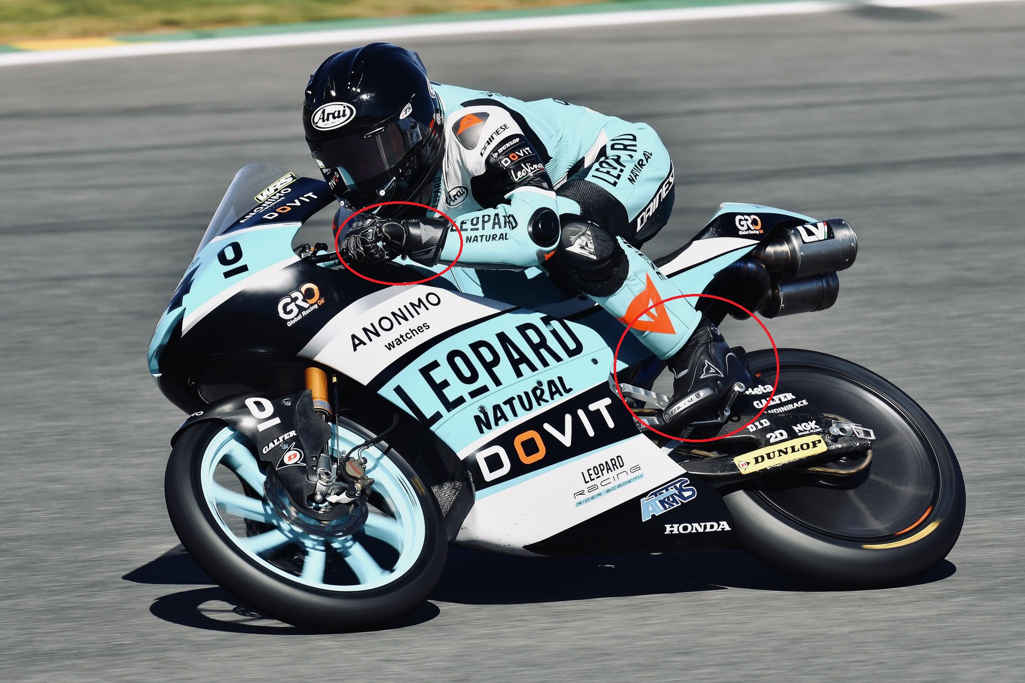 スタッフの一推しDAINESEライダー紹介！~