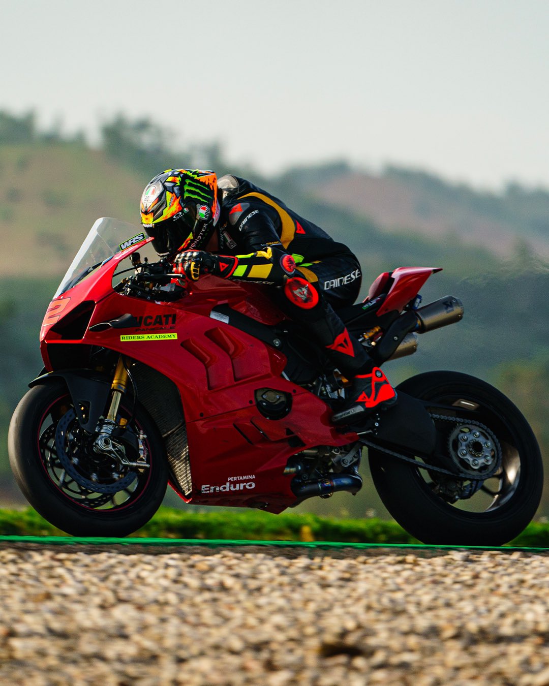 イタリア語で氷を意味するリミテッドモデル