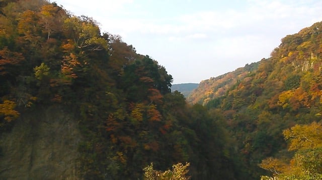 DSC_2089 のコピー