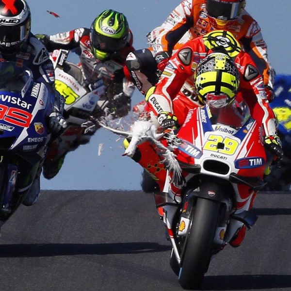 12135279_1026444207400720_1375631454_n.big