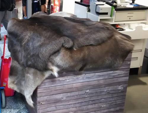 390e332b-2aa3-46e6-896f-ebc1d305a948