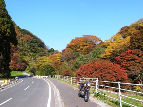 9981a59a405a9896f7efcf89ffdd15db-466x350