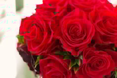 SHI86_akaibara1342_TP_V