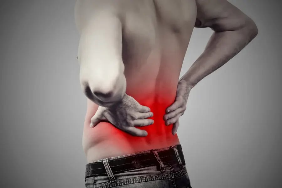 back-protector-3-1675757602227