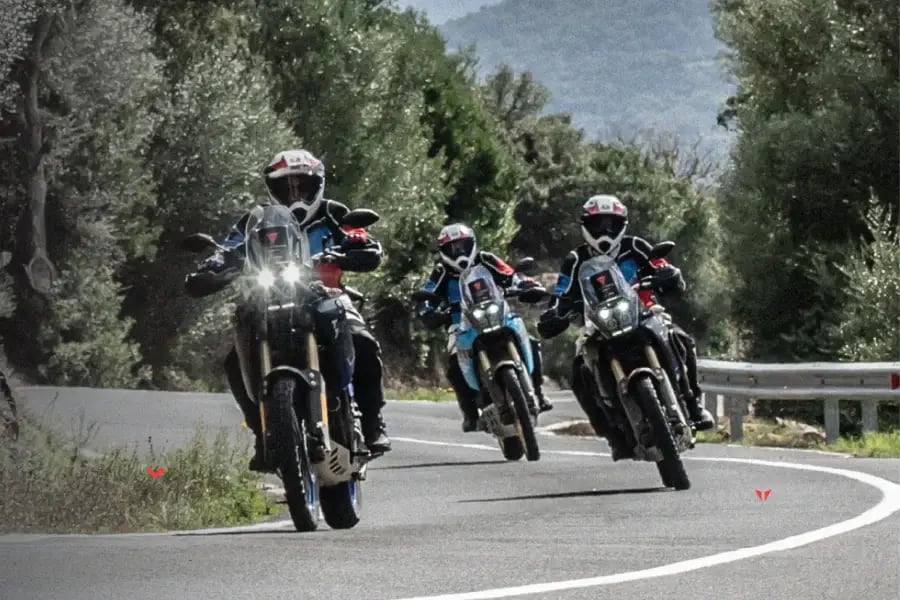 back-protector-6-1675758797146