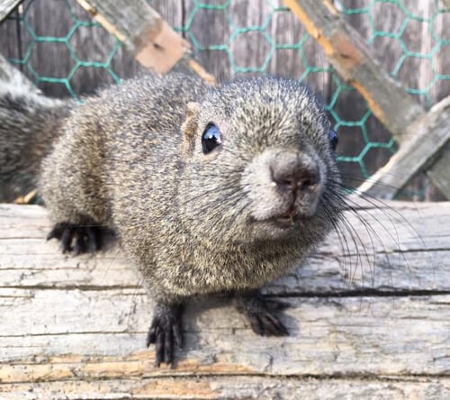 unnamed (3) のコピー