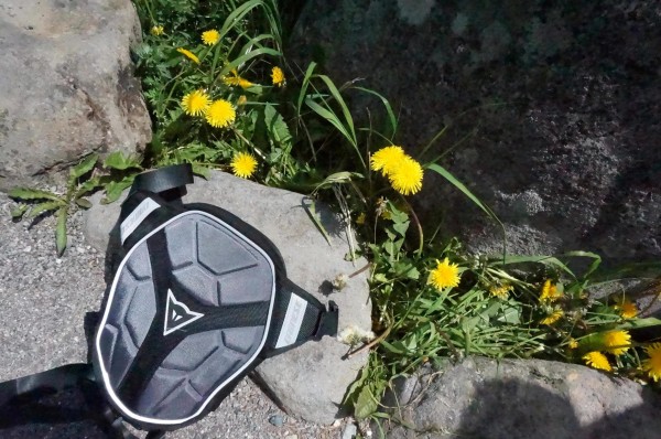 th_th_th_th_DSC03047