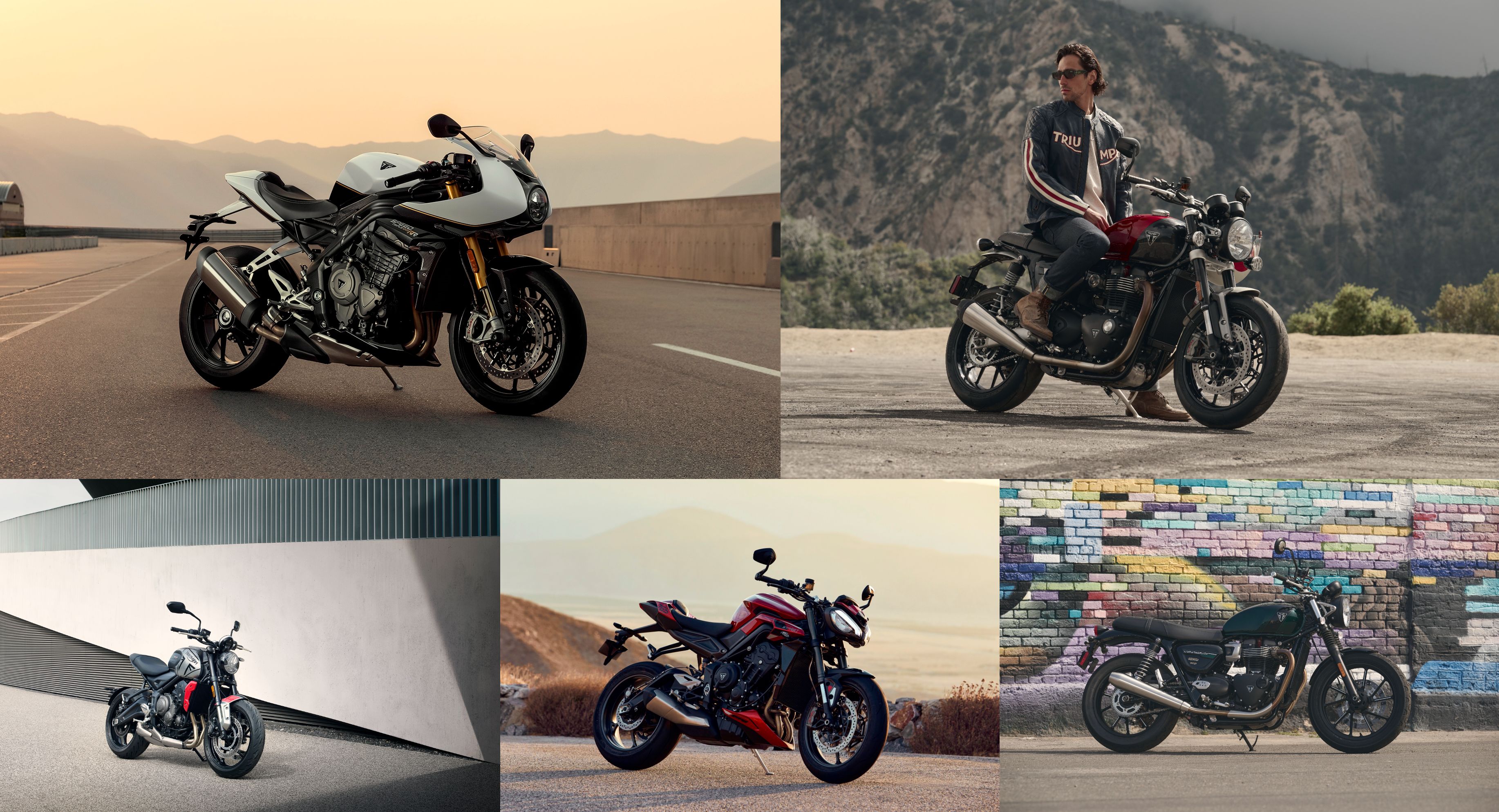 ダイネーゼ台場 ×トライアンフ東京 試乗会開催【11/11-12】