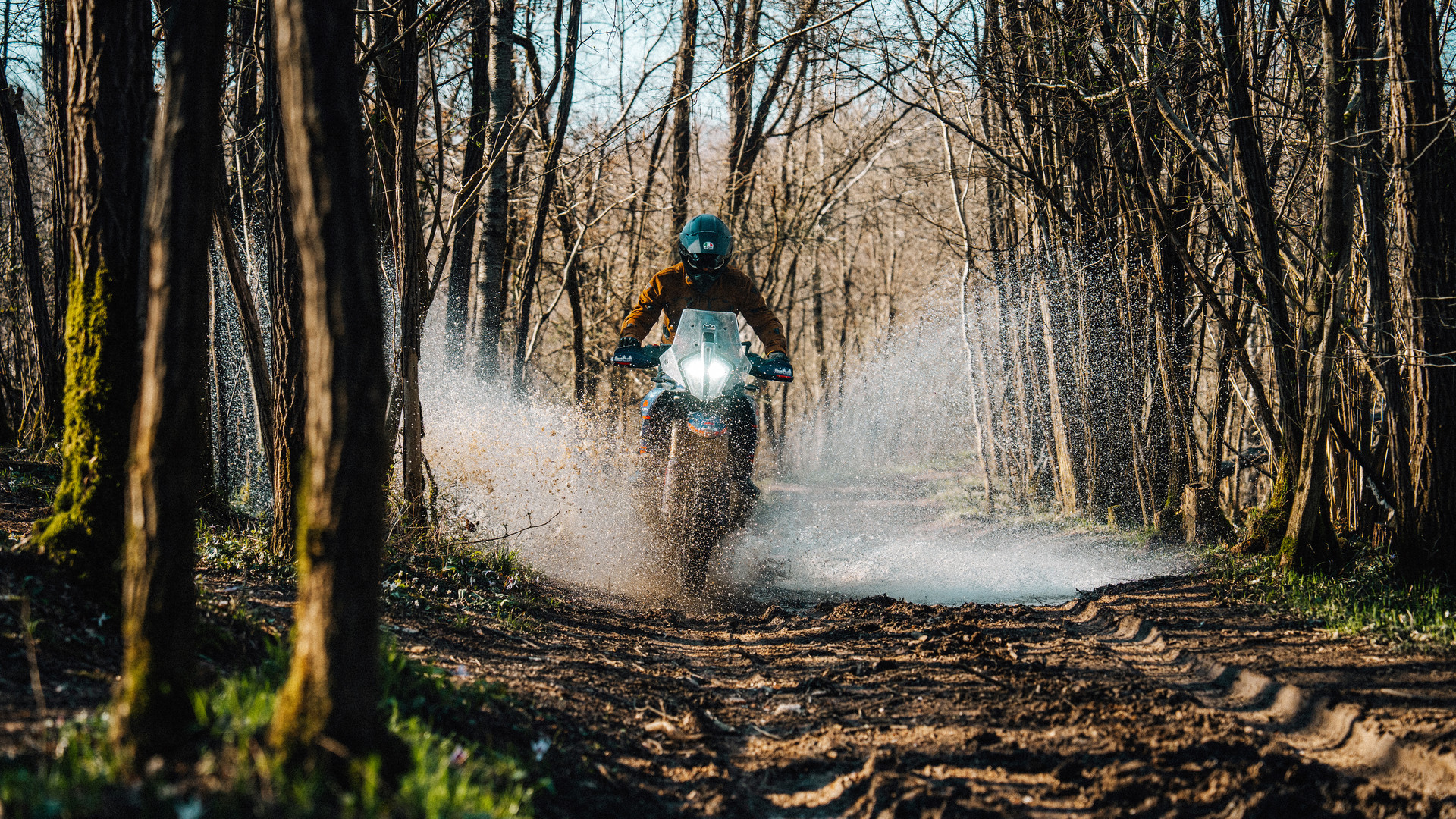 森の中に残る第一次世界大戦の遺構