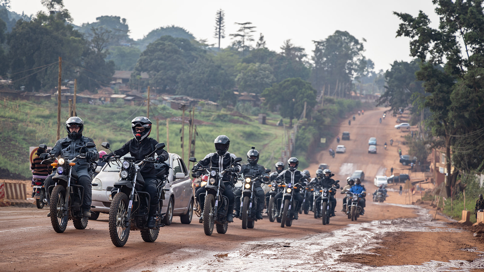 サファリの風景