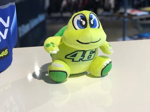 VR46商品☆カメのぬいぐるみご紹介！