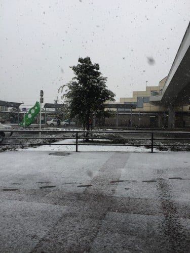 初雪ですね♪