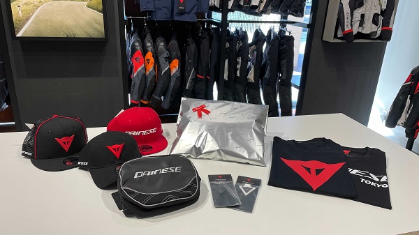 クリスマスプレゼントにダイネーゼを